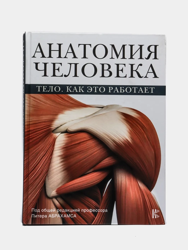 Анатомия человека