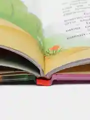 Командир полка - нос до потолка! Веселые истории для детей