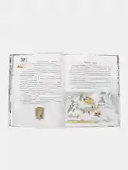 Рыжий, как солнышко