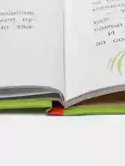 Пять плюс тринадцать. Веселые истории про старшего брата и младшую сестру
