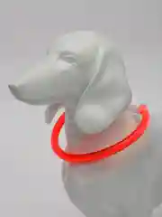 Ошейник светящийся светодиодный для собак, usb, регулируемый по длине, провод в комплекте