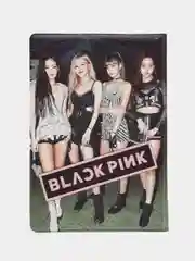 Бронзовый обложка на паспорт k-pop, аниме Наруто, Атака титанов, Дангонранпа, Бродячие псы и другие