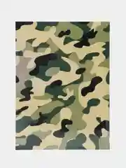 Обложка на паспорт "Девушки солдата"
