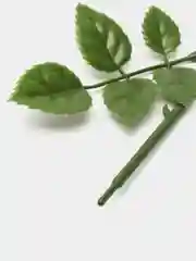 Стебель с листьями для искусственных и мыльных роз