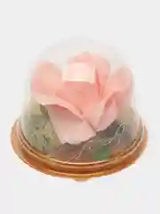 Конфетный роза мыльная в колбе