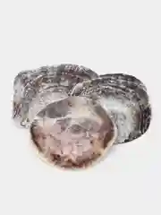 Морские натуральные ракушки на вес 3 шт, раковина морская, ракушка для свечей, аквариума