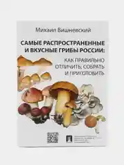 Самые распространенные и вкусные грибы России: как правильно отличить, собрать