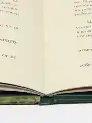 Русские сказки. Художник Виктор Васнецов. С иллюстрациями.-М.:Проспект,2024