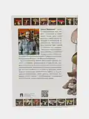 Самые распространенные съедобные грибы.Справочник-определитель начинающего грибника