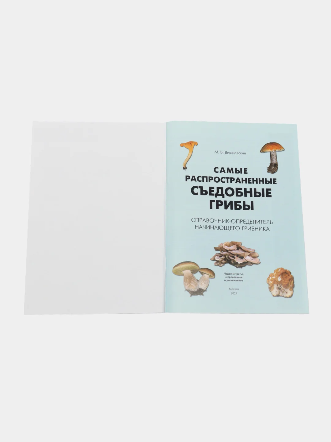 Самые распространенные съедобные грибы.Справочник-определитель начинающего грибника