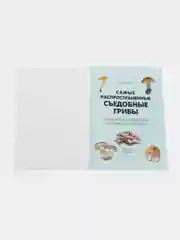 Самые распространенные съедобные грибы.Справочник-определитель начинающего грибника