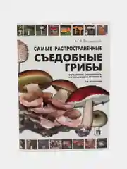 Самые распространенные съедобные грибы.Справочник-определитель начинающего грибника