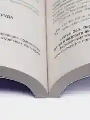 Трудовой кодекс РФ по сост. на 24.01.24 с последними изменениями.-М.:Проспект,2024