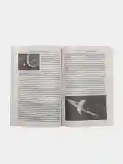 Занимательно о космогонии