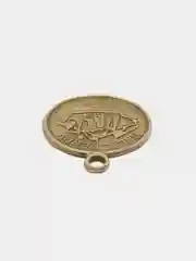 Бронзовый пришивные монеты