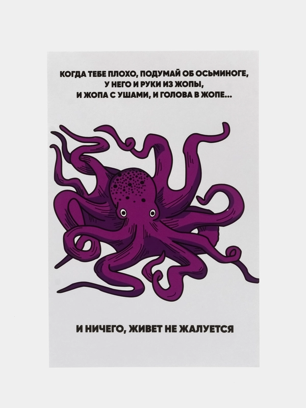Открытка 10 на 15 см,Карточка-открытка, Прикольная открытка, Открытка с приколом