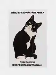Черный открытка 10 на 15 см,Карточка-открытка, Прикольная открытка, Открытка с приколом