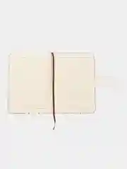 Розовый записная книжка А6, 10,5X14,5см, 80л., "Крутые котики", тв обл с порол, искус кожа, магнит