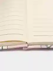 Розовый записная книжка А6, 10,5X14,5см, 80л., "Крутые котики", тв обл с порол, искус кожа, магнит