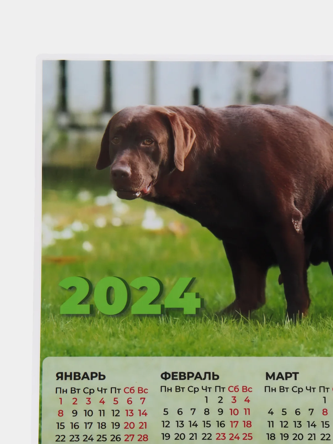 Лесной зеленый календарь 2024, настенный календарь, календарь с приколом, прикольный календарь