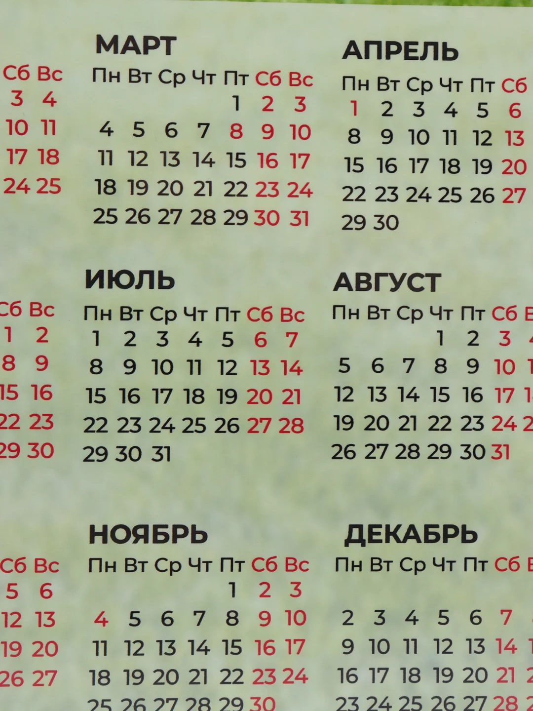 Лесной зеленый календарь 2024, настенный календарь, календарь с приколом, прикольный календарь