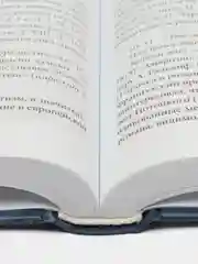 Роман А. С. Пушкина Евгений Онегин. Комментарий