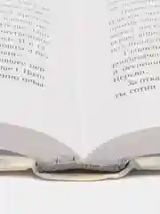 История старообрядчества