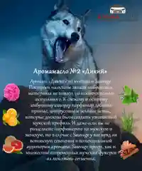 Аромамасло (заправка, пропитка) для автомобильного войлочного ароматизатора