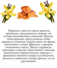 Аромамасло (заправка, пропитка) для автомобильного войлочного ароматизатора