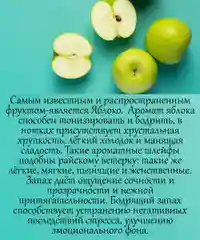 Аромамасло (заправка, пропитка) для автомобильного войлочного ароматизатора