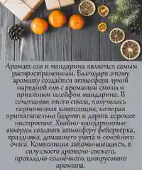 Аромамасло (заправка, пропитка) для автомобильного войлочного ароматизатора