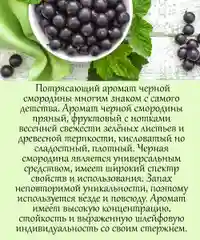 Аромамасло (заправка, пропитка) для автомобильного войлочного ароматизатора