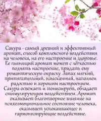 Аромамасло (заправка, пропитка) для автомобильного войлочного ароматизатора
