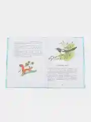 Белочка-хлопотунья. Скребицкий Георгий Алексеевич