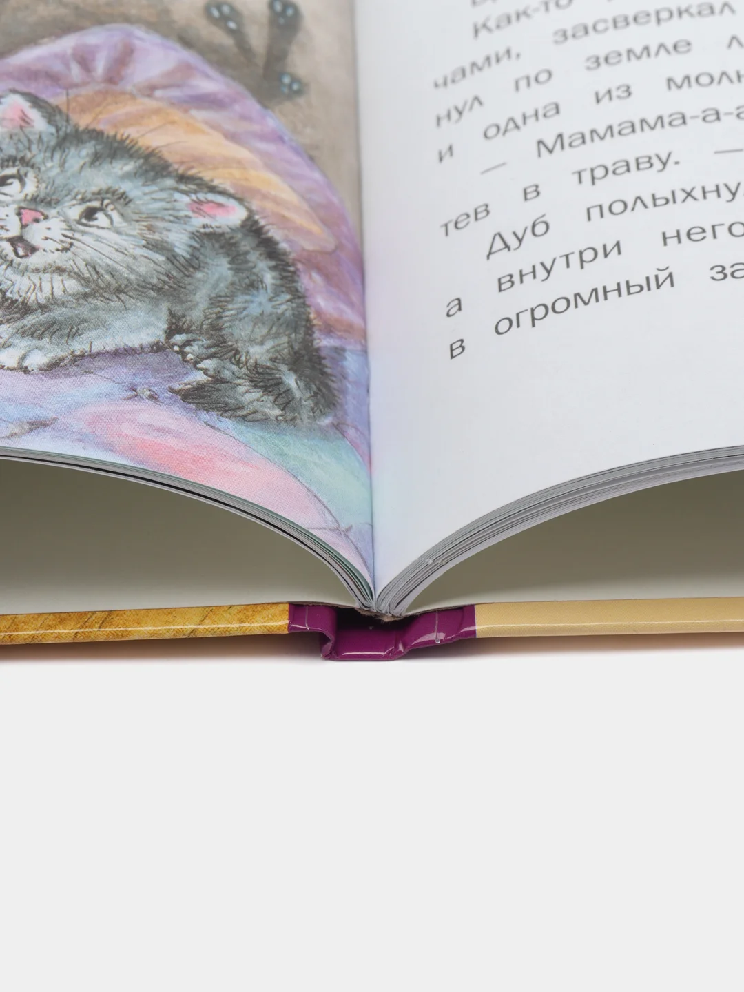 Тайна Подкроватья