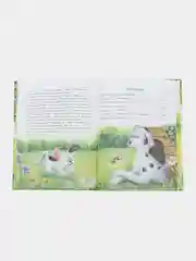 Маленькие сказки про большую умничку. ДХЛ