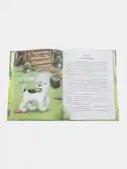 Маленькие сказки про большую умничку. ДХЛ