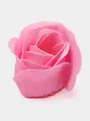 Кораллово-розовый подарочный набор из мыльных роз, с плюшевым мишкой и вечной розой, подарок учителю