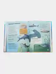 Энциклопедия в твёрдом переплёте Подводный мир, 48 стр