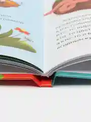 Энциклопедия в сказках "Чудеса нашей планеты", 48 страниц