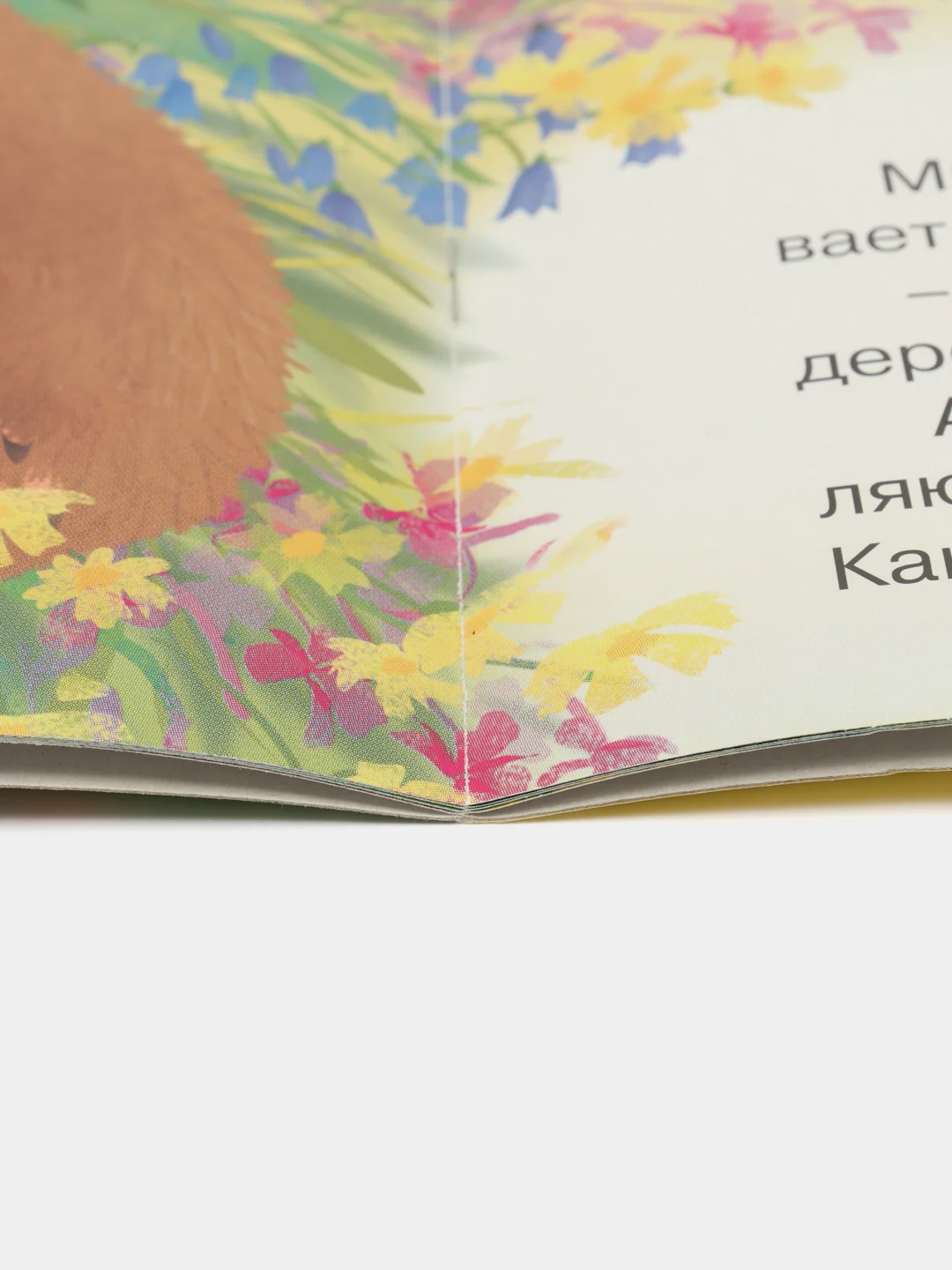 Лесной зеленый сказки для детей из серии "Мишка и его семья" комплект книг  Коваль Татьяна Леонидовна