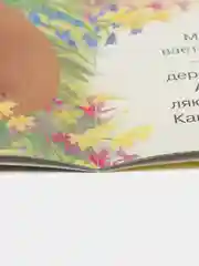 Лесной зеленый сказки для детей из серии "Мишка и его семья" комплект книг  Коваль Татьяна Леонидовна