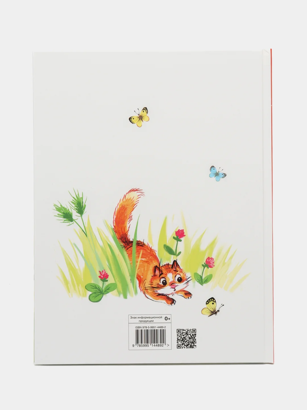 Детская книга "Не понимаю"