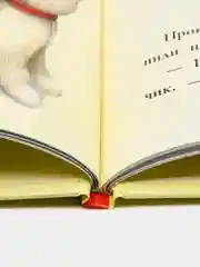 Непослушные котята