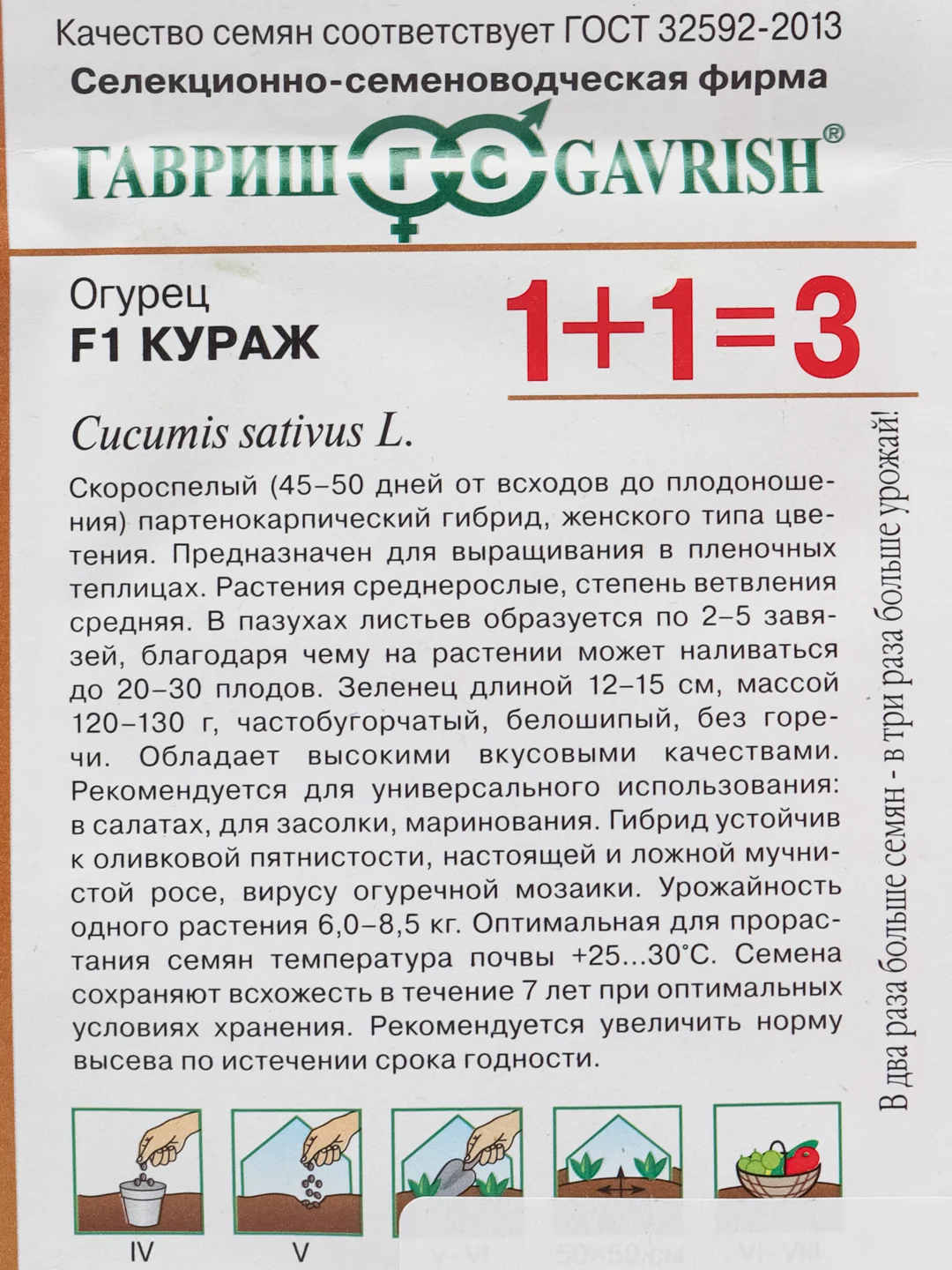 Бирюзовый семена Огурец "Кураж" F1, скороспелый, партенокарпический, 20 семян