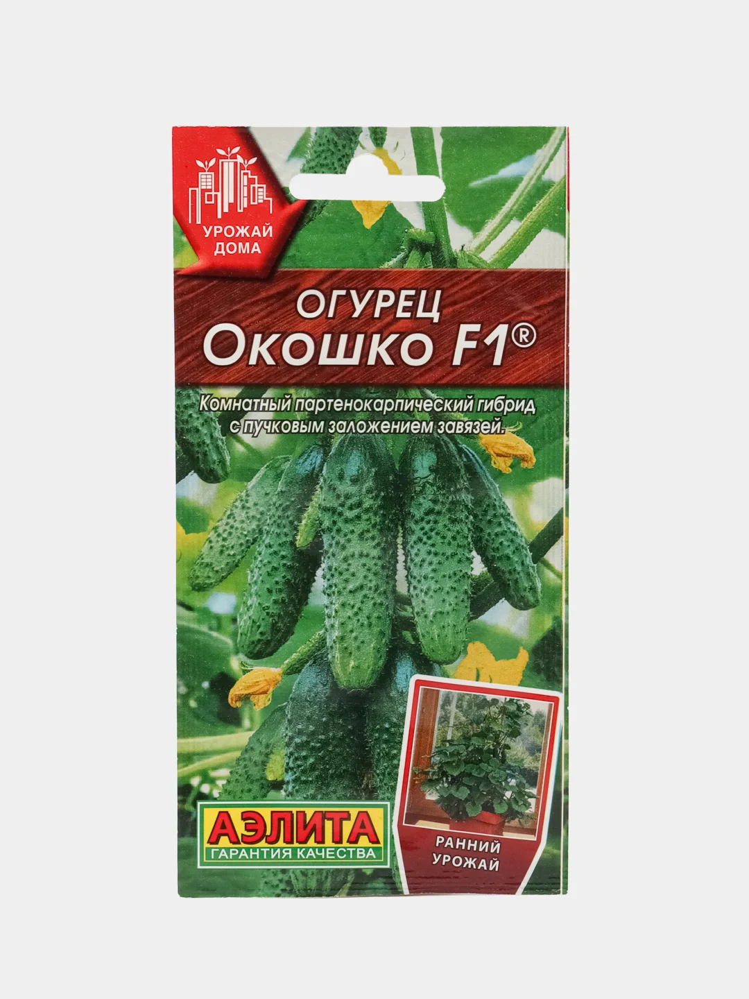 Бирюзовый семена Огурец Балконный "Хрустик", на окно, самоопыляемые, раннеспелые