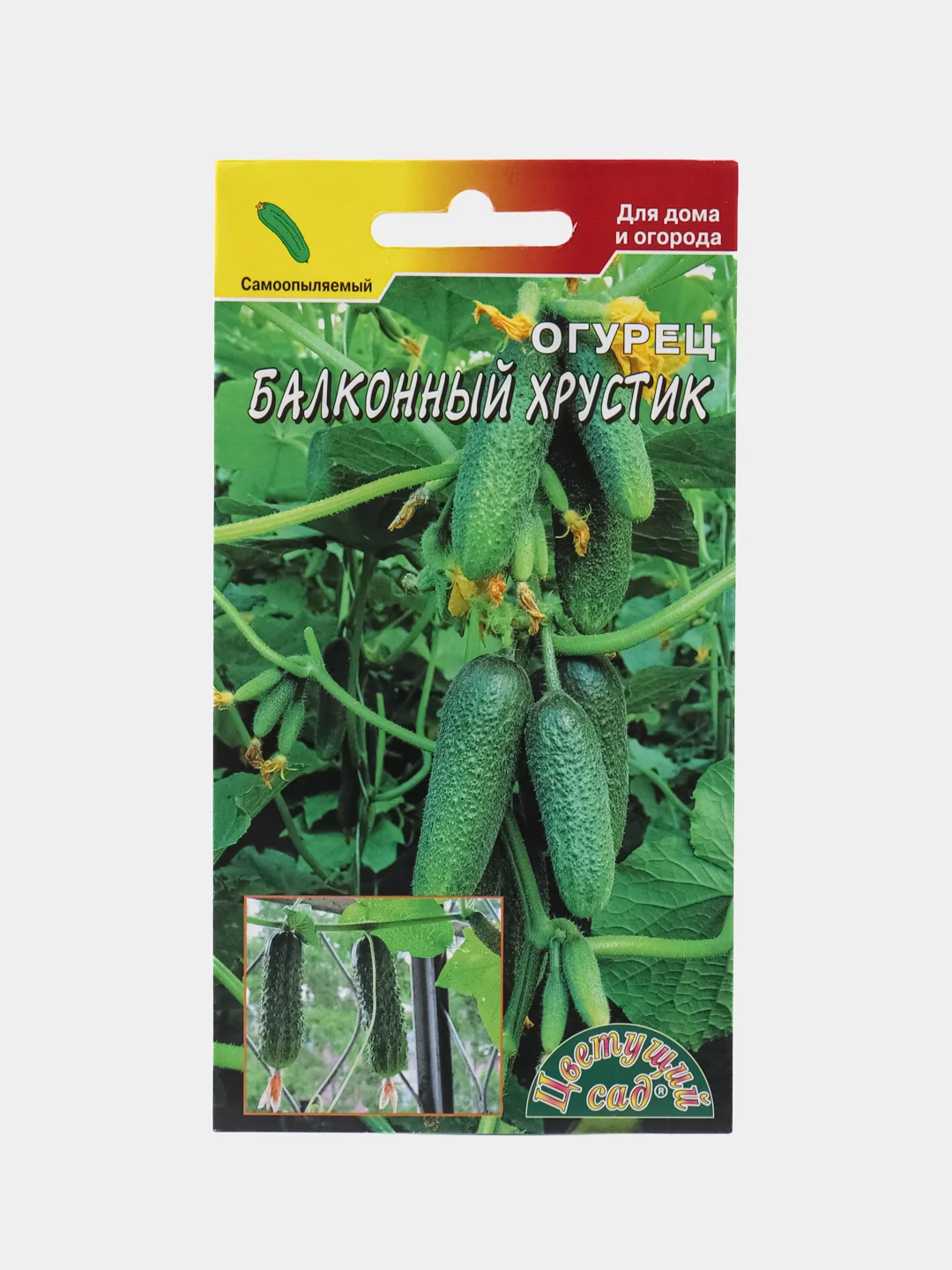 Зеленый семена Огурец Балконный "Хрустик", на окно, самоопыляемые, раннеспелые