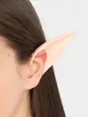 Уши эльфа