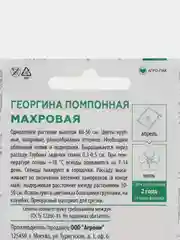 Алый семена Астра Помпонная. Георгина Помпонная, Цинния Пеперминт. Семена цветов