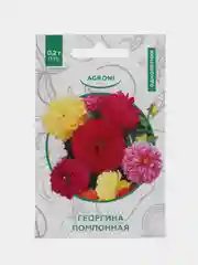 Алый семена Астра Помпонная. Георгина Помпонная, Цинния Пеперминт. Семена цветов